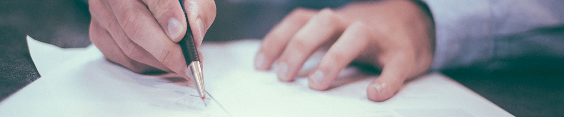 新聞動(dòng)態(tài)